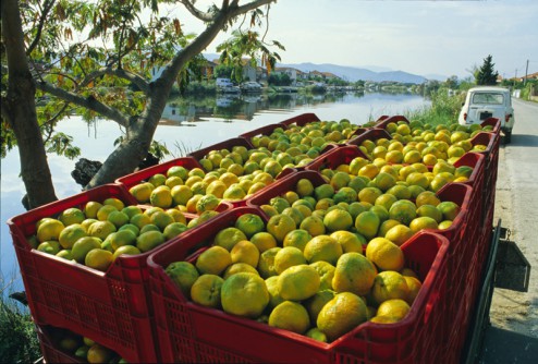 kuschm_Neretva Kroatien